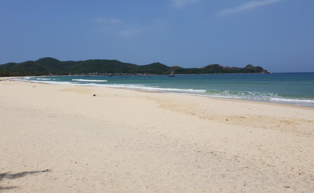 Bay Hoa Beach'in fotoğrafı açık bej kum yüzey ile