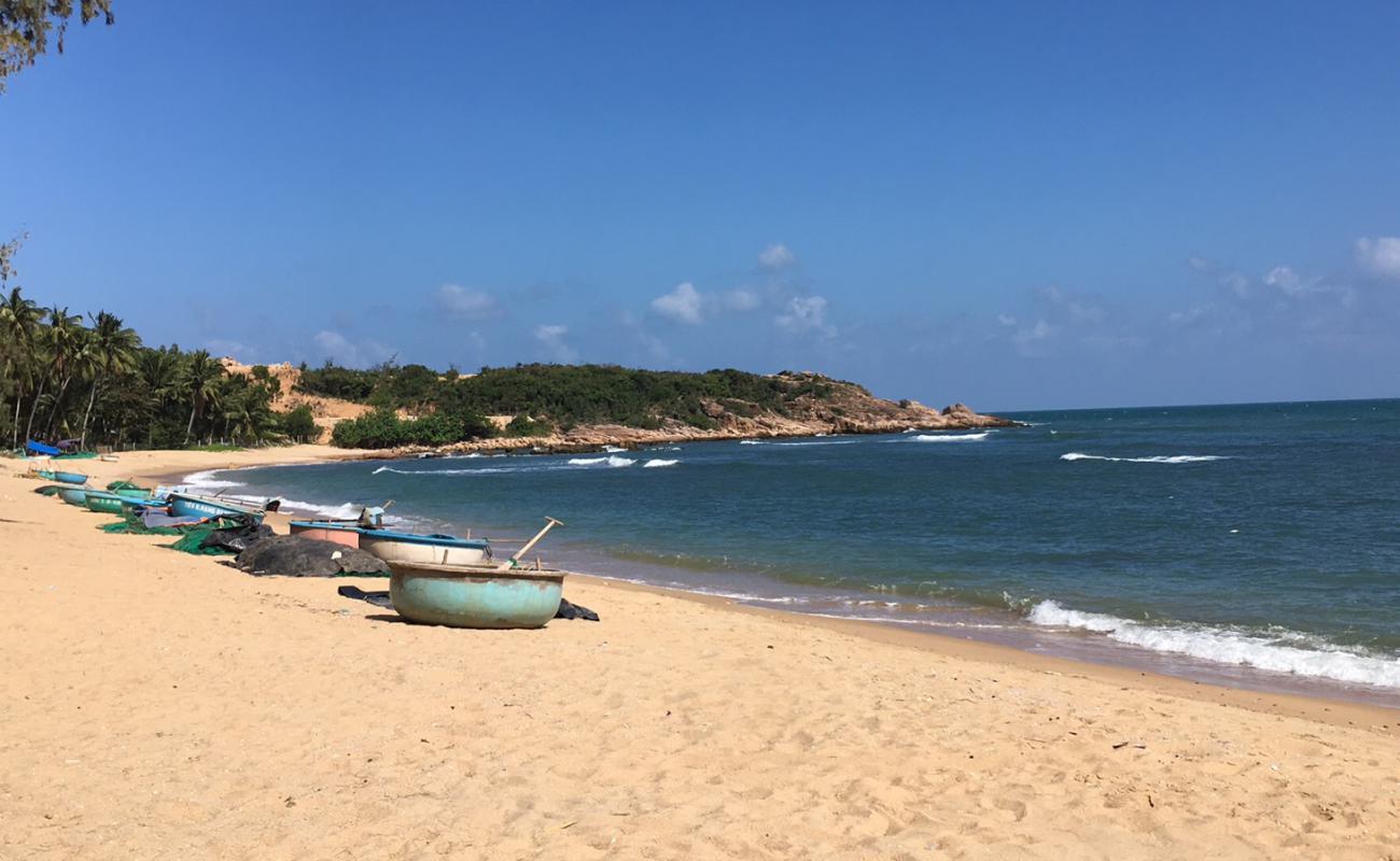 Bai Rang Beach'in fotoğrafı parlak kum yüzey ile