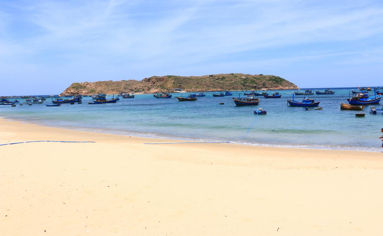 Nhon Hai Beach'in fotoğrafı parlak kum yüzey ile