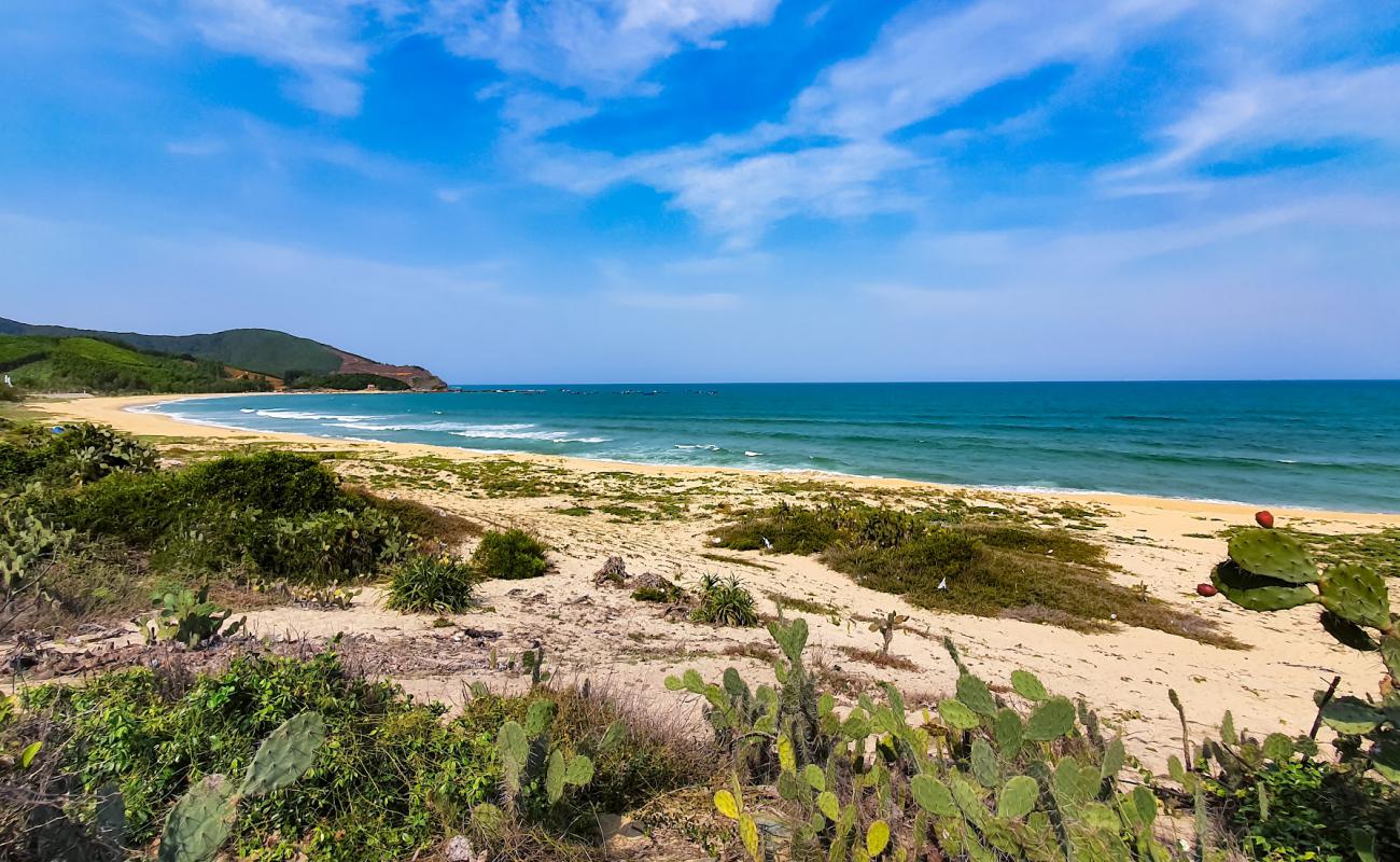 Bai Lo Dieu Beach'in fotoğrafı açık bej kum yüzey ile