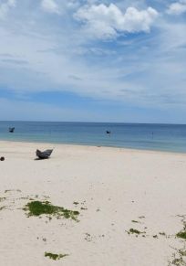 Liem Tien