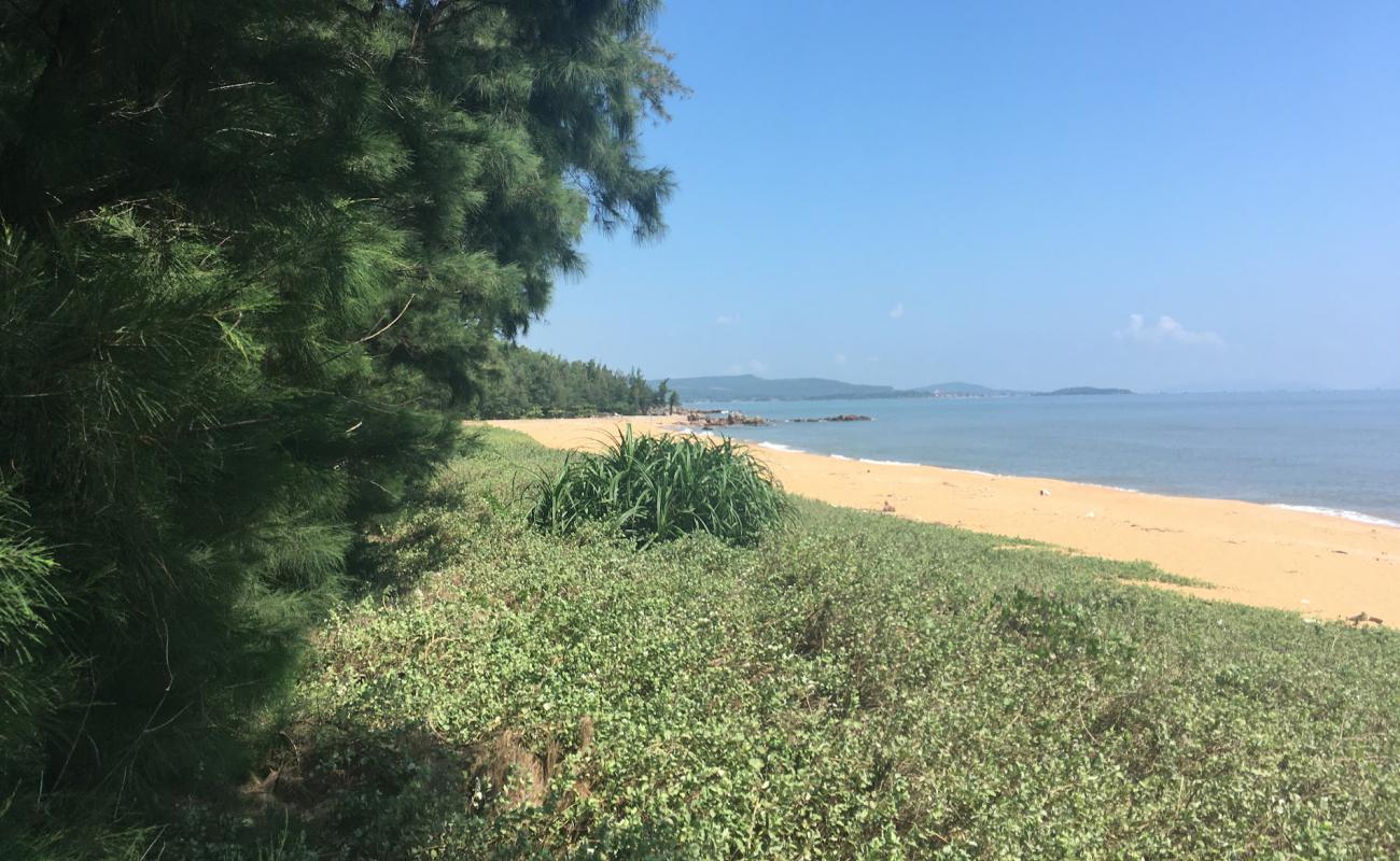 Camping Paradise beach'in fotoğrafı açık bej kum yüzey ile