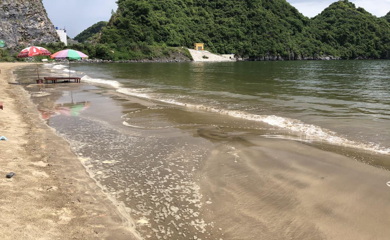 Tung thu beach'in fotoğrafı parlak kum yüzey ile