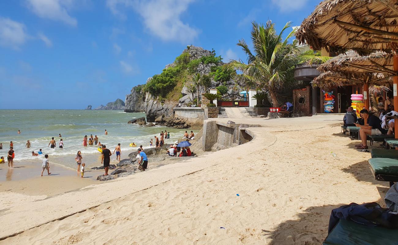 Cat Co 3 Beach'in fotoğrafı i̇nce bej kum yüzey ile