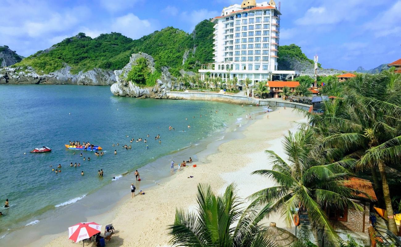 Cat Co 2 Beach'in fotoğrafı açık bej kum yüzey ile