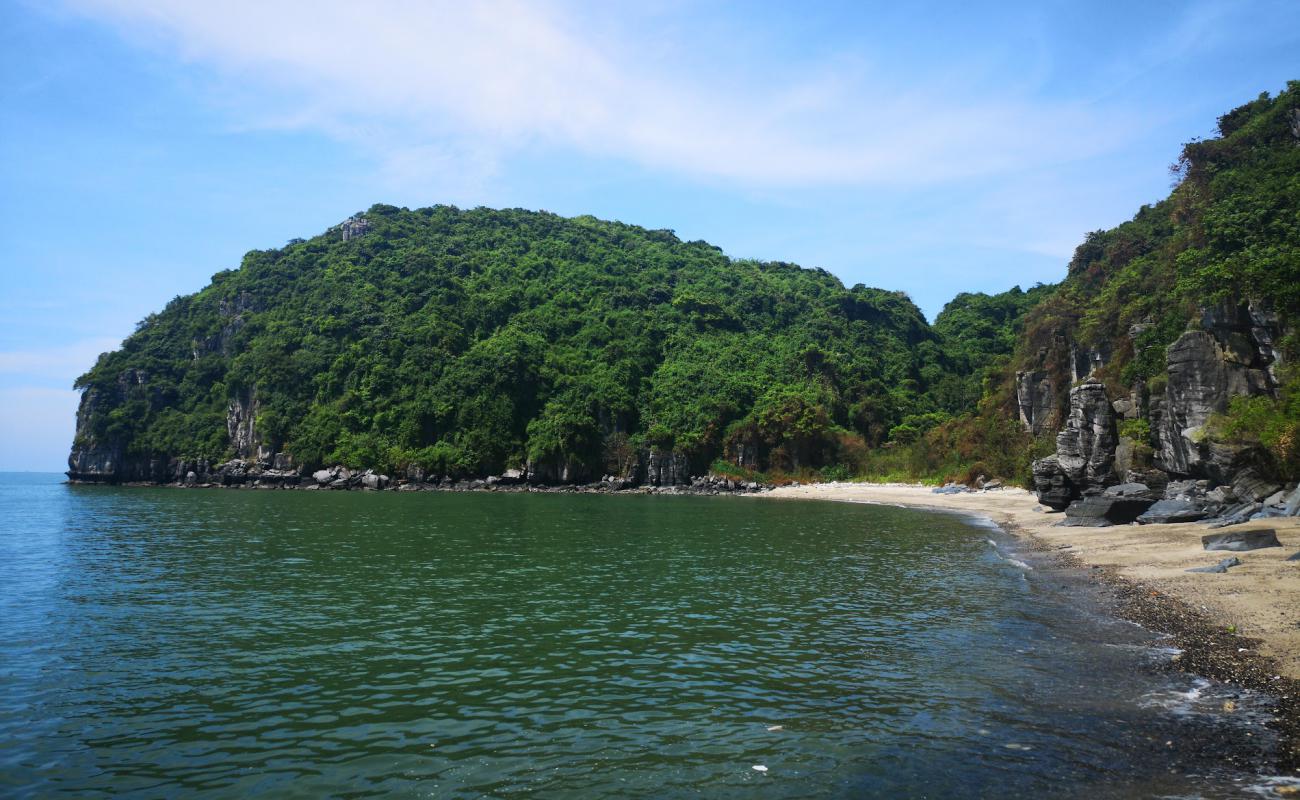 Blue Swimmer Beach'in fotoğrafı çakıl ile kum yüzey ile