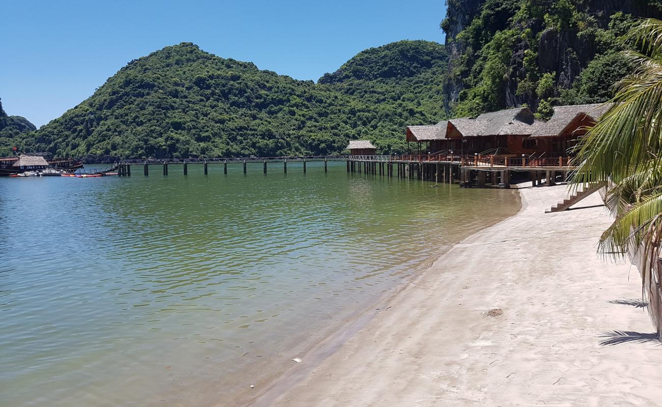 Nam Cat beach'in fotoğrafı açık bej kum yüzey ile