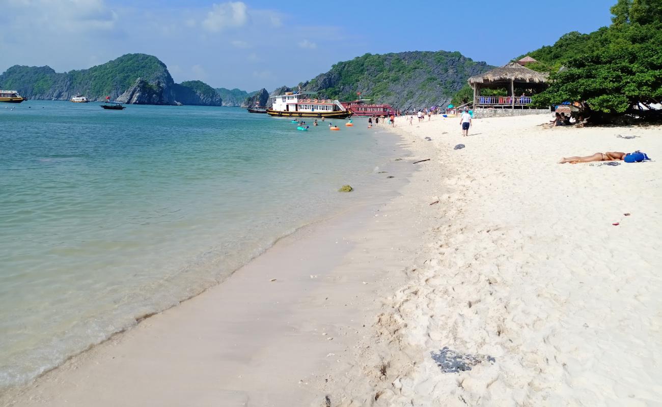 Monkey Island beach'in fotoğrafı açık bej kum yüzey ile