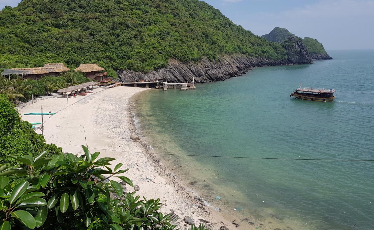 Monkey Island Resort'in fotoğrafı açık bej kum yüzey ile