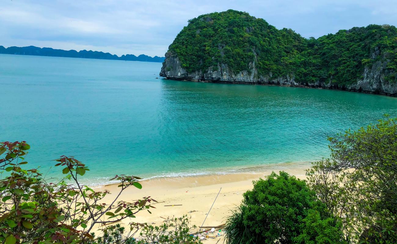 Skull island'in fotoğrafı açık bej kum yüzey ile