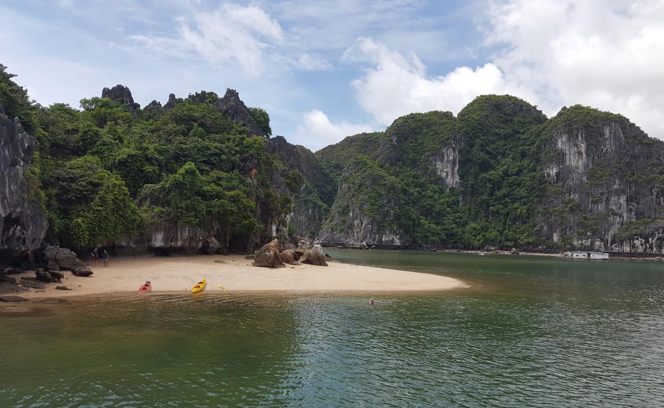 Van Boi Beach'in fotoğrafı açık bej kum yüzey ile