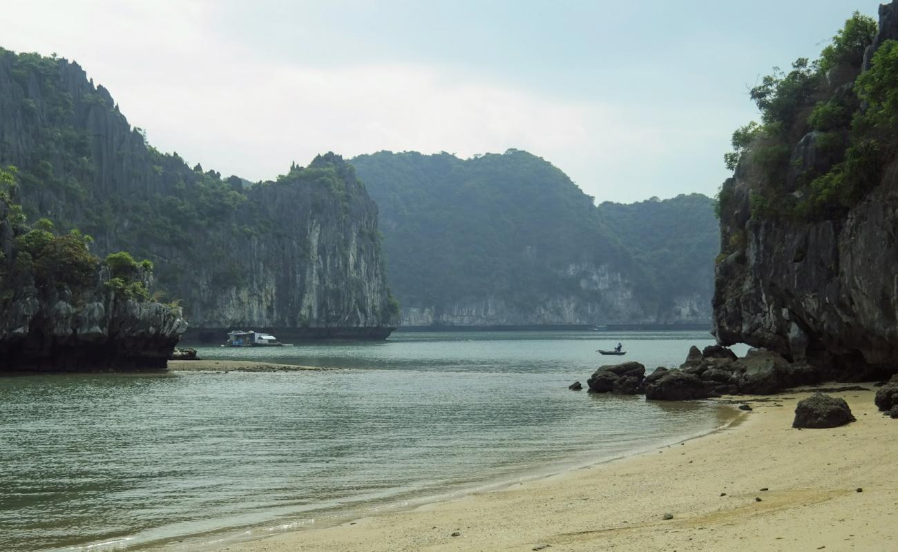 Temple Beach'in fotoğrafı açık bej kum yüzey ile