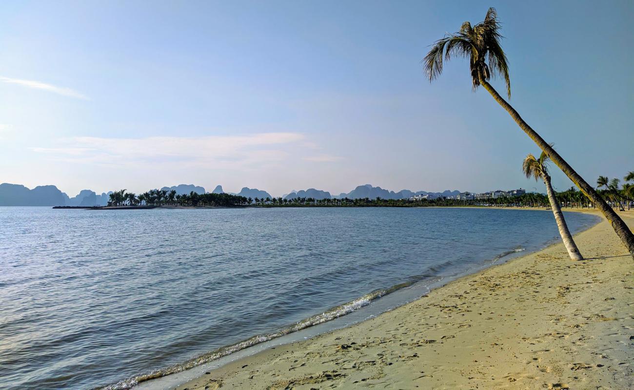 Tuan Chau Resort beach'in fotoğrafı açık bej kum yüzey ile