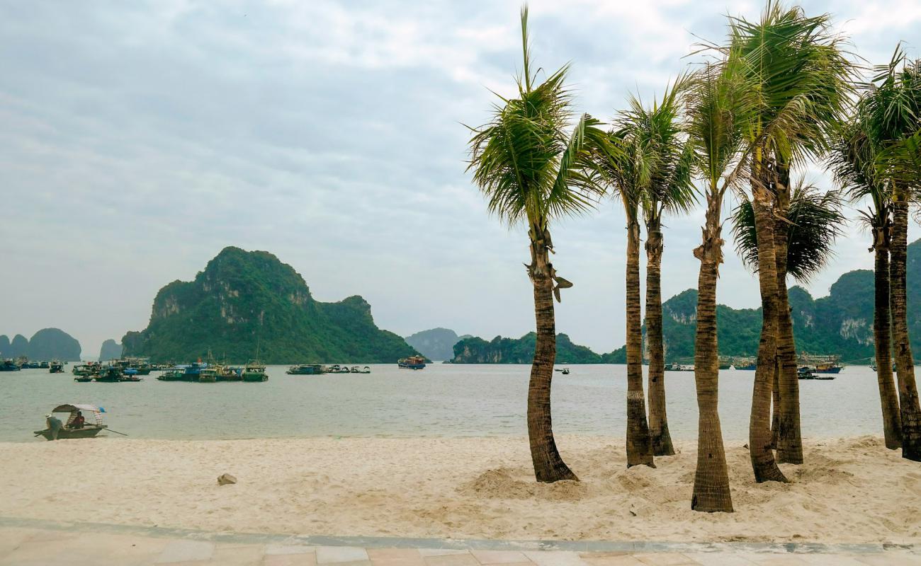 Hon Gai beach'in fotoğrafı beyaz kum yüzey ile