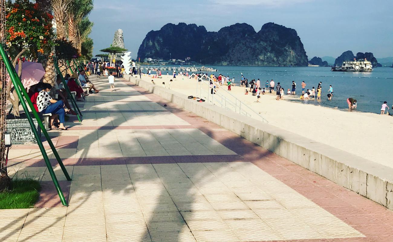 Green Dragon beach'in fotoğrafı açık bej kum yüzey ile