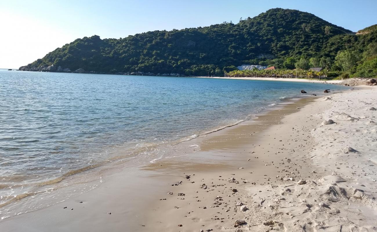 North Beach'in fotoğrafı açık bej kum yüzey ile