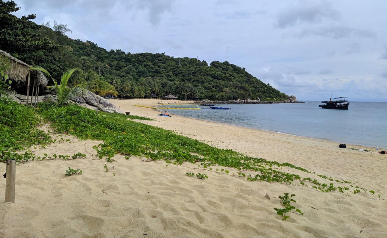Perfume Beach'in fotoğrafı açık bej kum yüzey ile