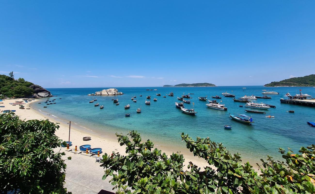 Cu Lao Cham Beach'in fotoğrafı açık bej kum yüzey ile