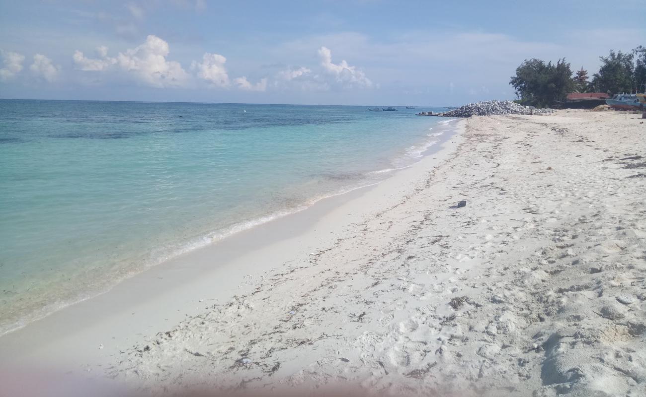 Park Beach'in fotoğrafı açık bej kum yüzey ile