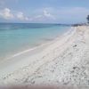 Park Beach