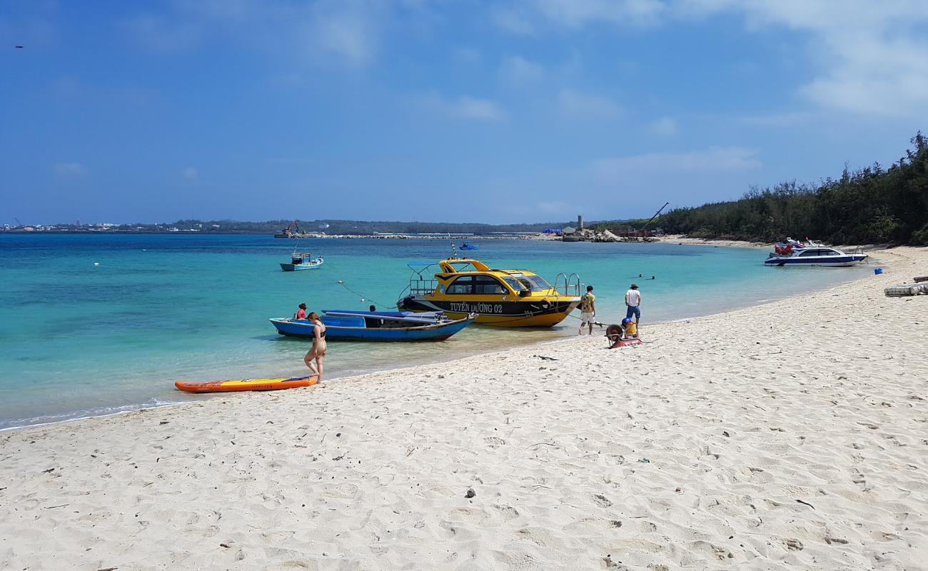 Hon Tranh Beach'in fotoğrafı açık bej kum yüzey ile
