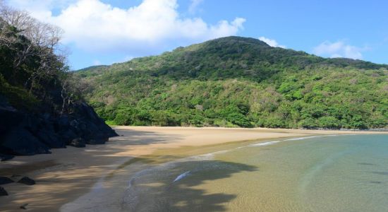 Bai Suoi Nong