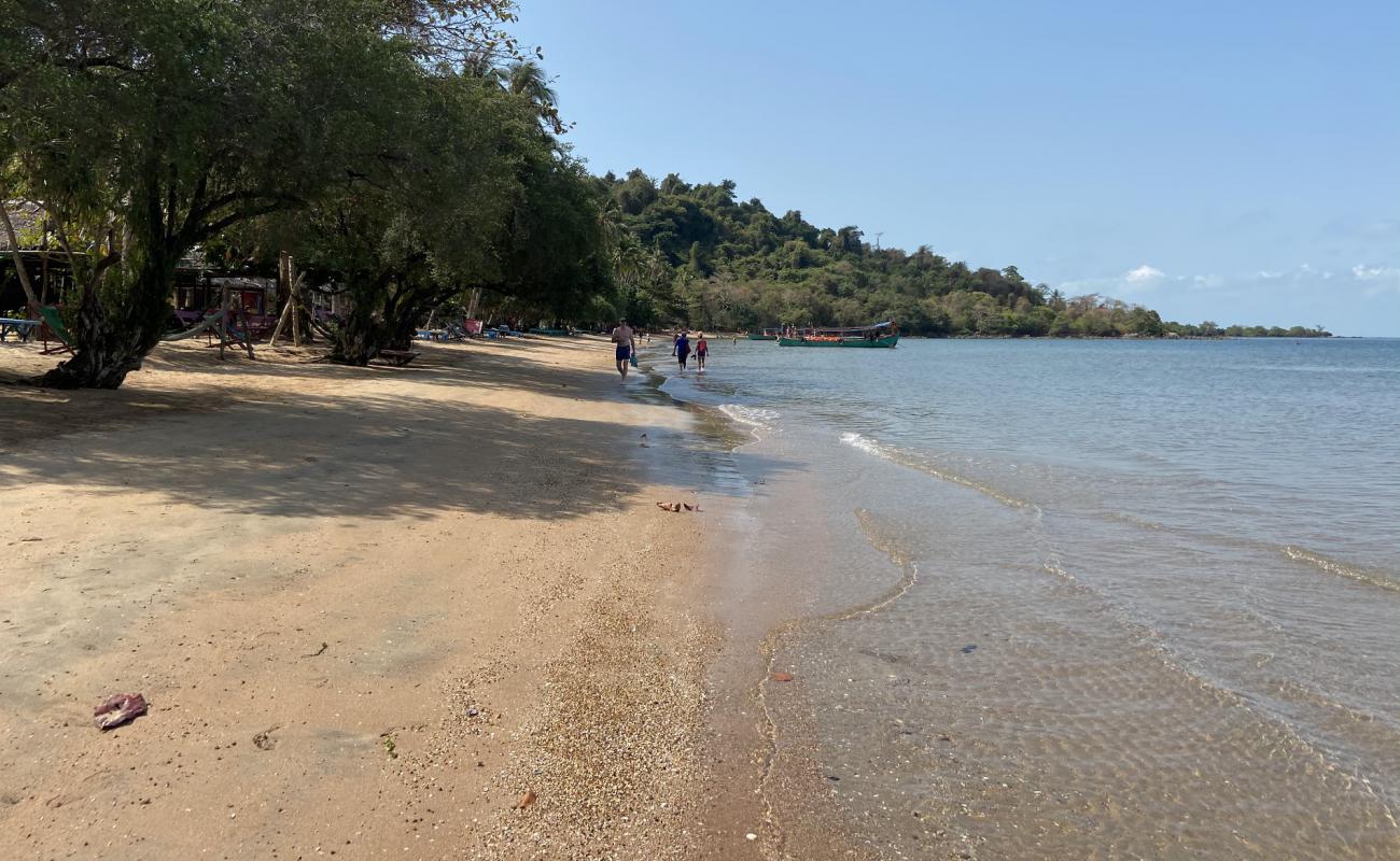 Rabbit Island Beach'in fotoğrafı parlak kum yüzey ile