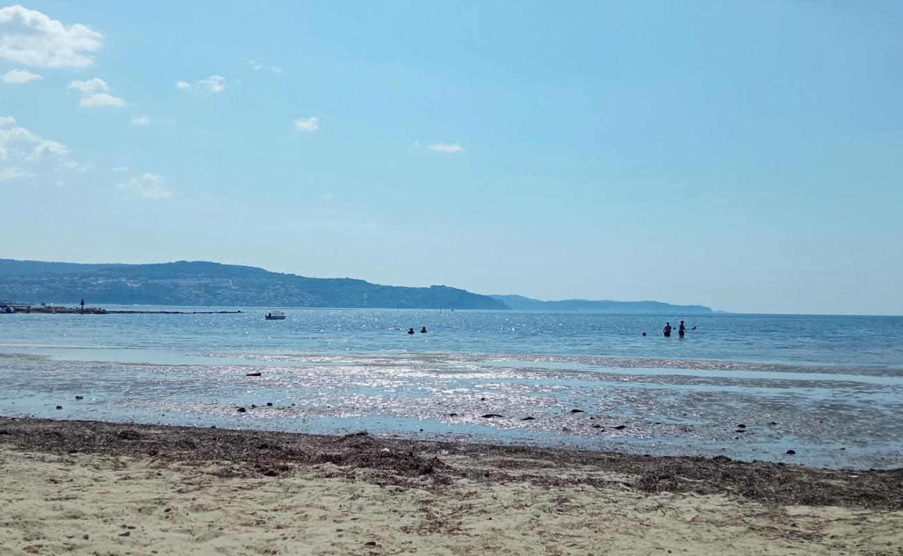 Plaza Sv. Katarina Ankaran'in fotoğrafı gri deniz kabuğu kumu yüzey ile