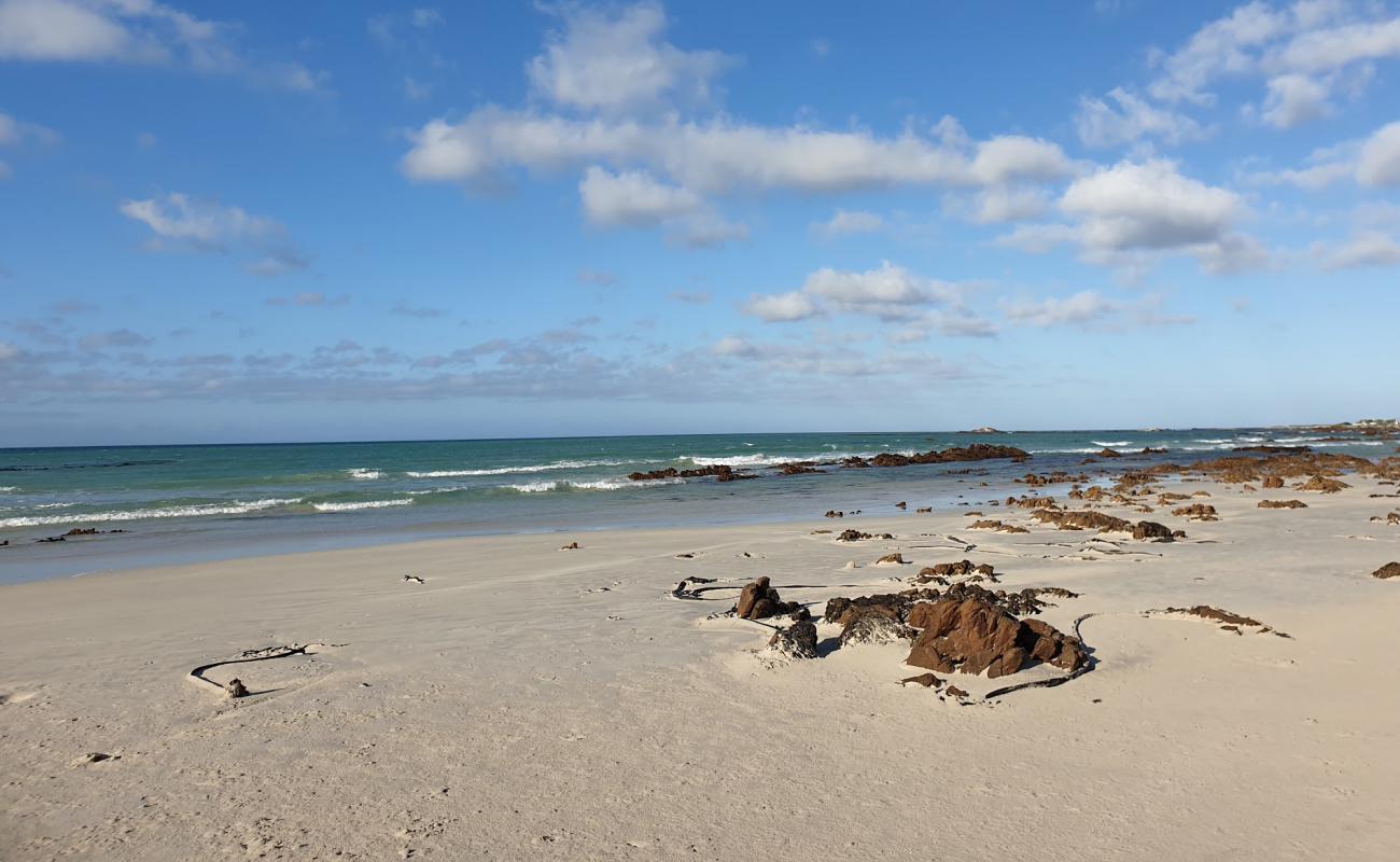 Franskraal beach'in fotoğrafı açık bej kum yüzey ile