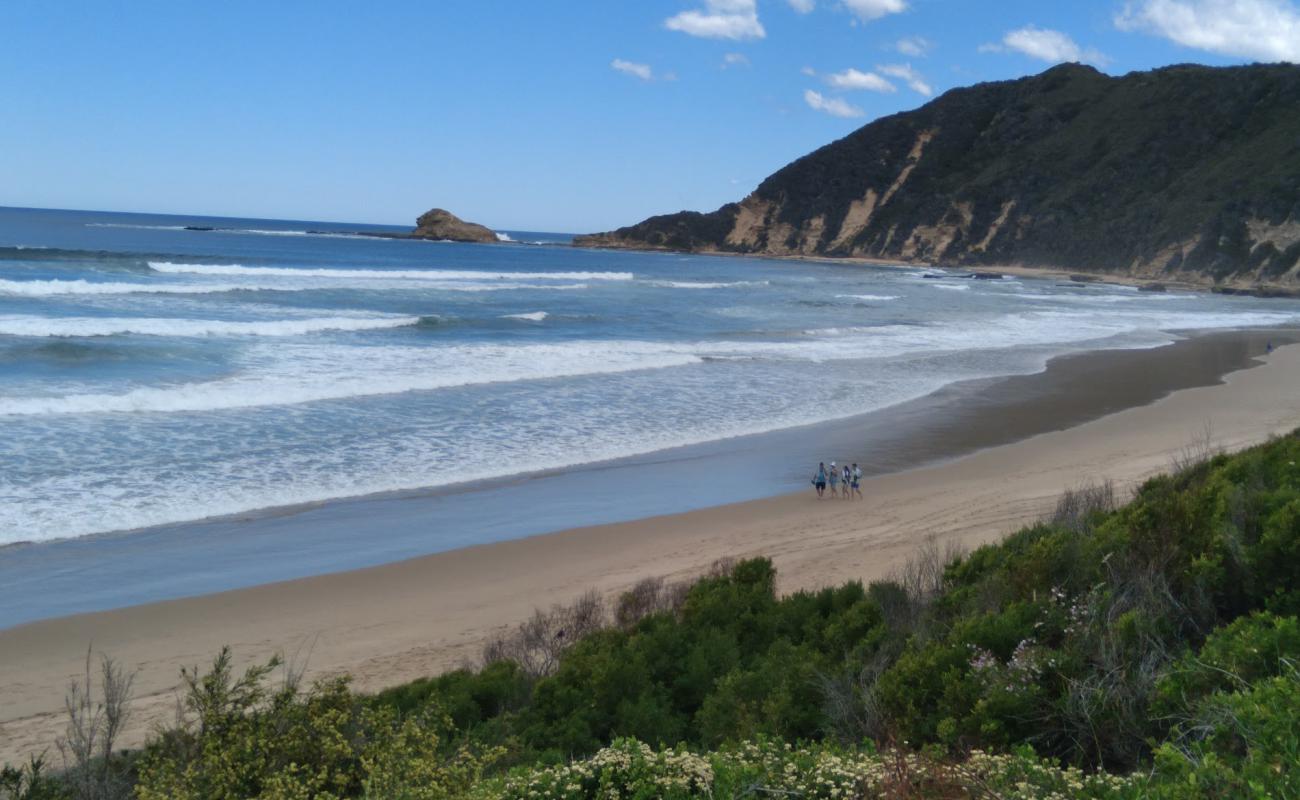 Swartvlei beach'in fotoğrafı açık bej kum yüzey ile