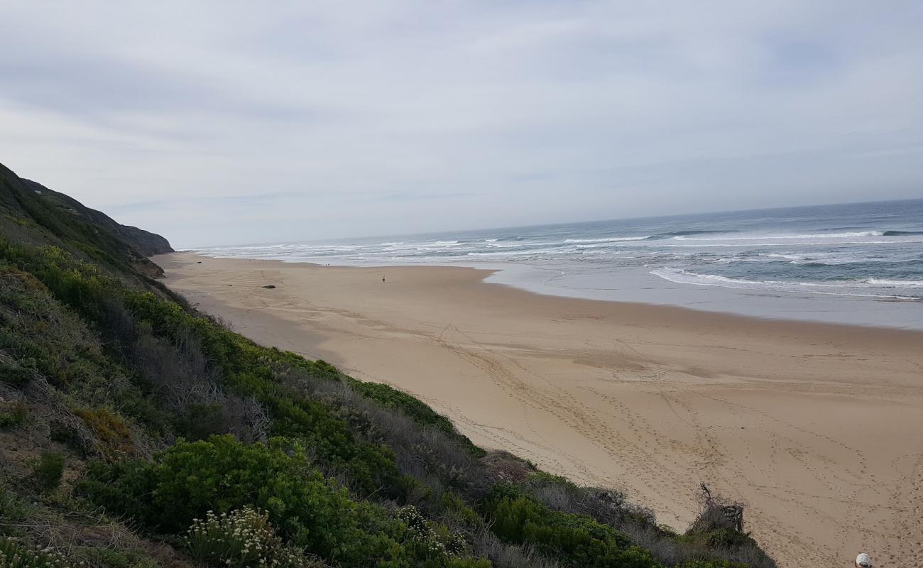 Groenvlei beach'in fotoğrafı i̇nce bej kum yüzey ile