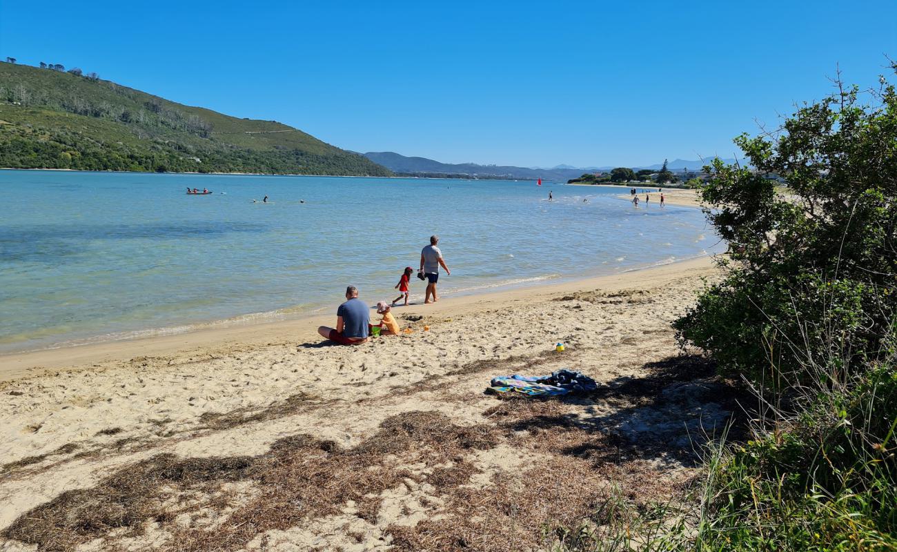 Bollards Bay beach'in fotoğrafı parlak kum yüzey ile