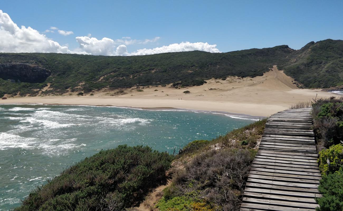 Robberg reserve beach'in fotoğrafı parlak kum yüzey ile