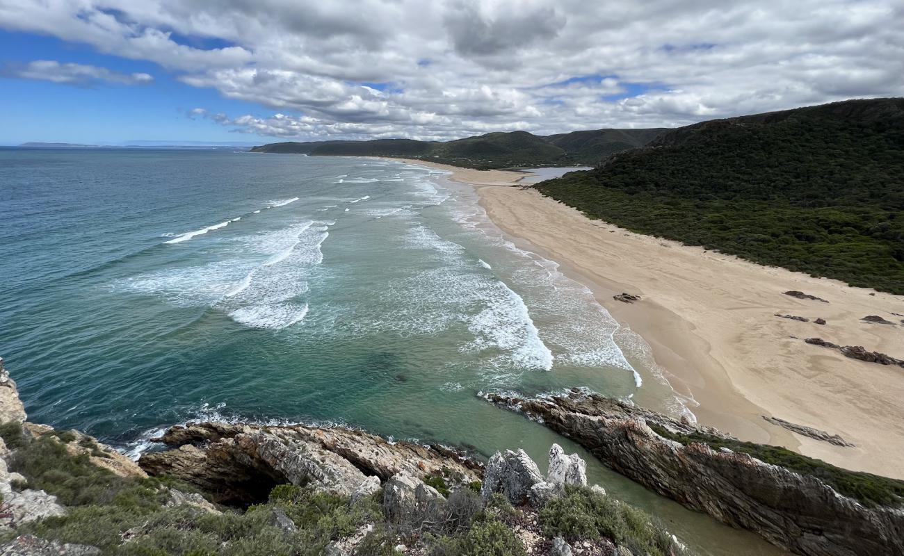 Nature's Valley beach'in fotoğrafı i̇nce bej kum yüzey ile