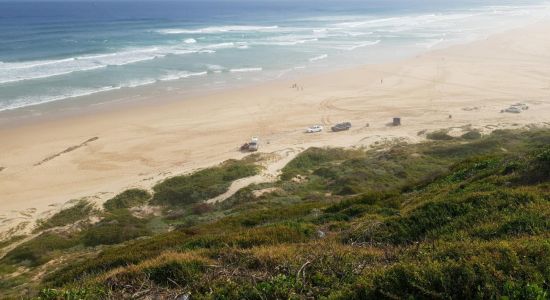 Maitland beach