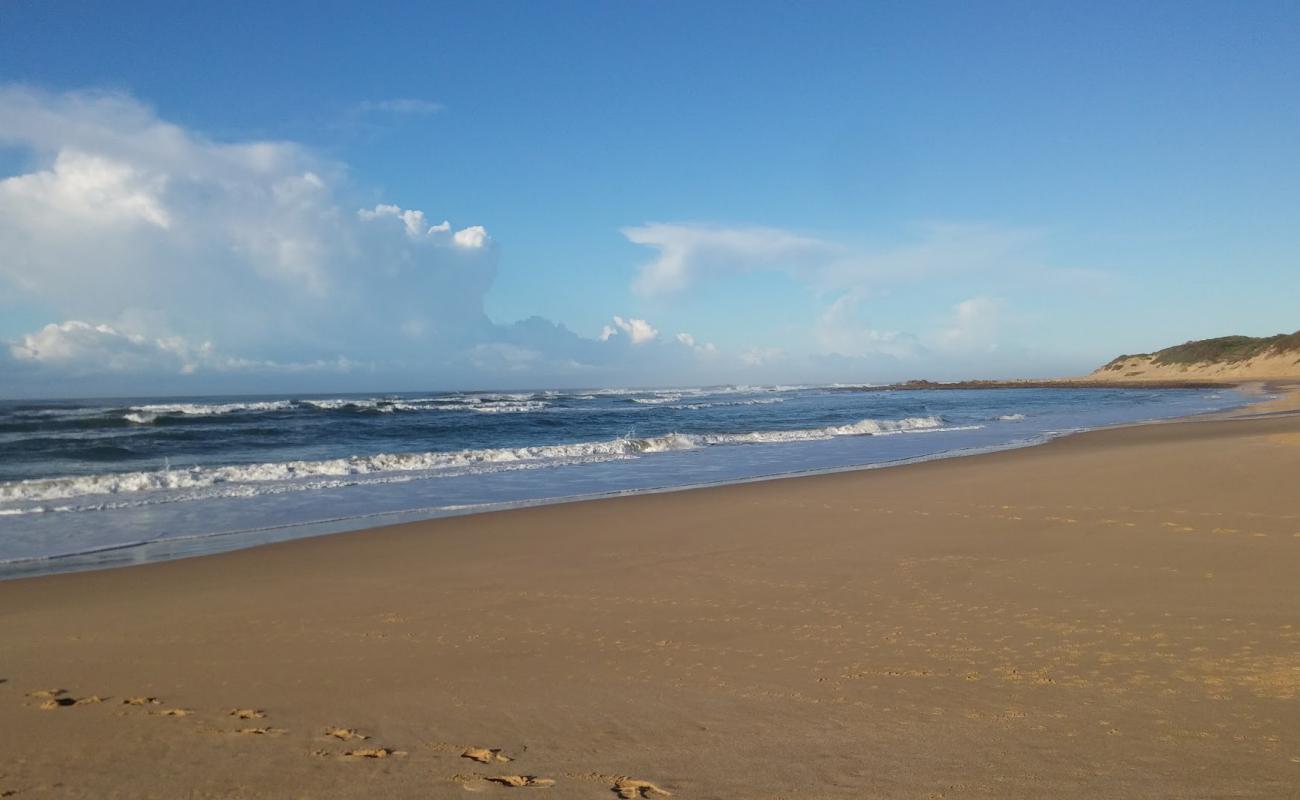 Forest Downs beach'in fotoğrafı açık bej kum yüzey ile