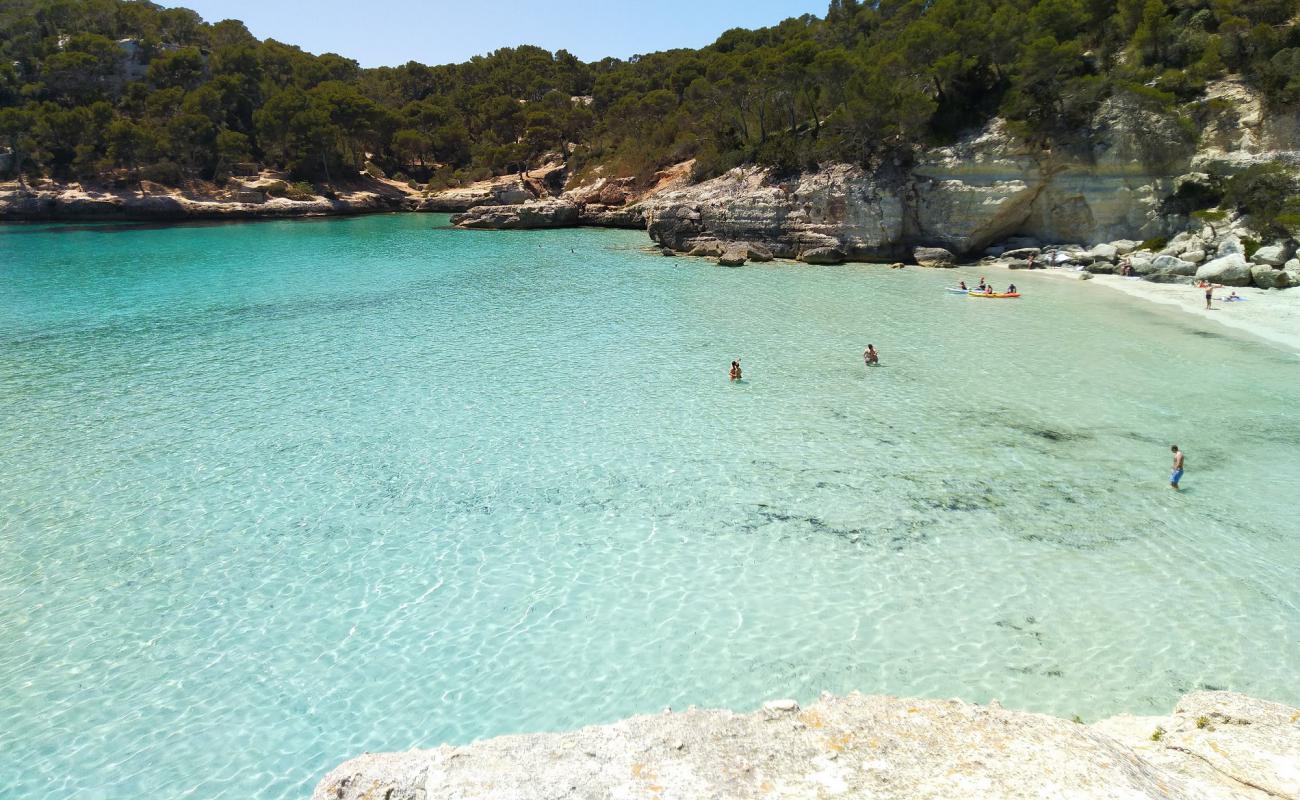 Cala Mitjana'in fotoğrafı parlak ince kum yüzey ile