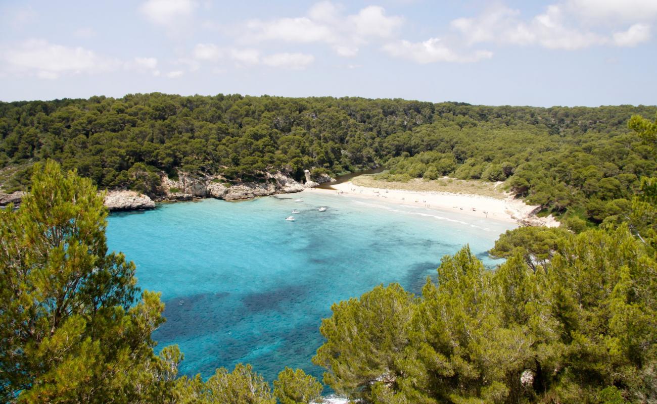 Cala de Trebaluger'in fotoğrafı parlak ince kum yüzey ile