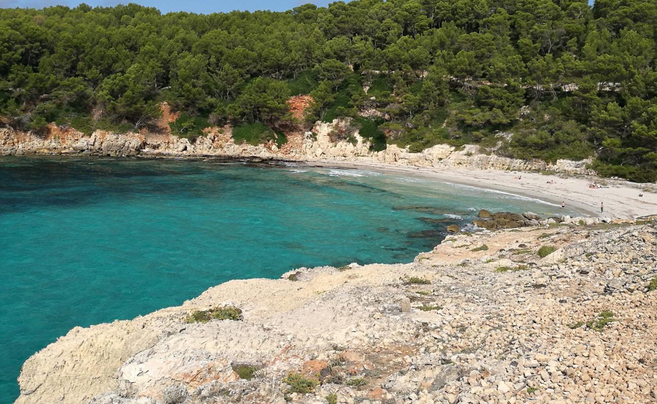 Playa Cala Escorxada'in fotoğrafı parlak ince kum yüzey ile