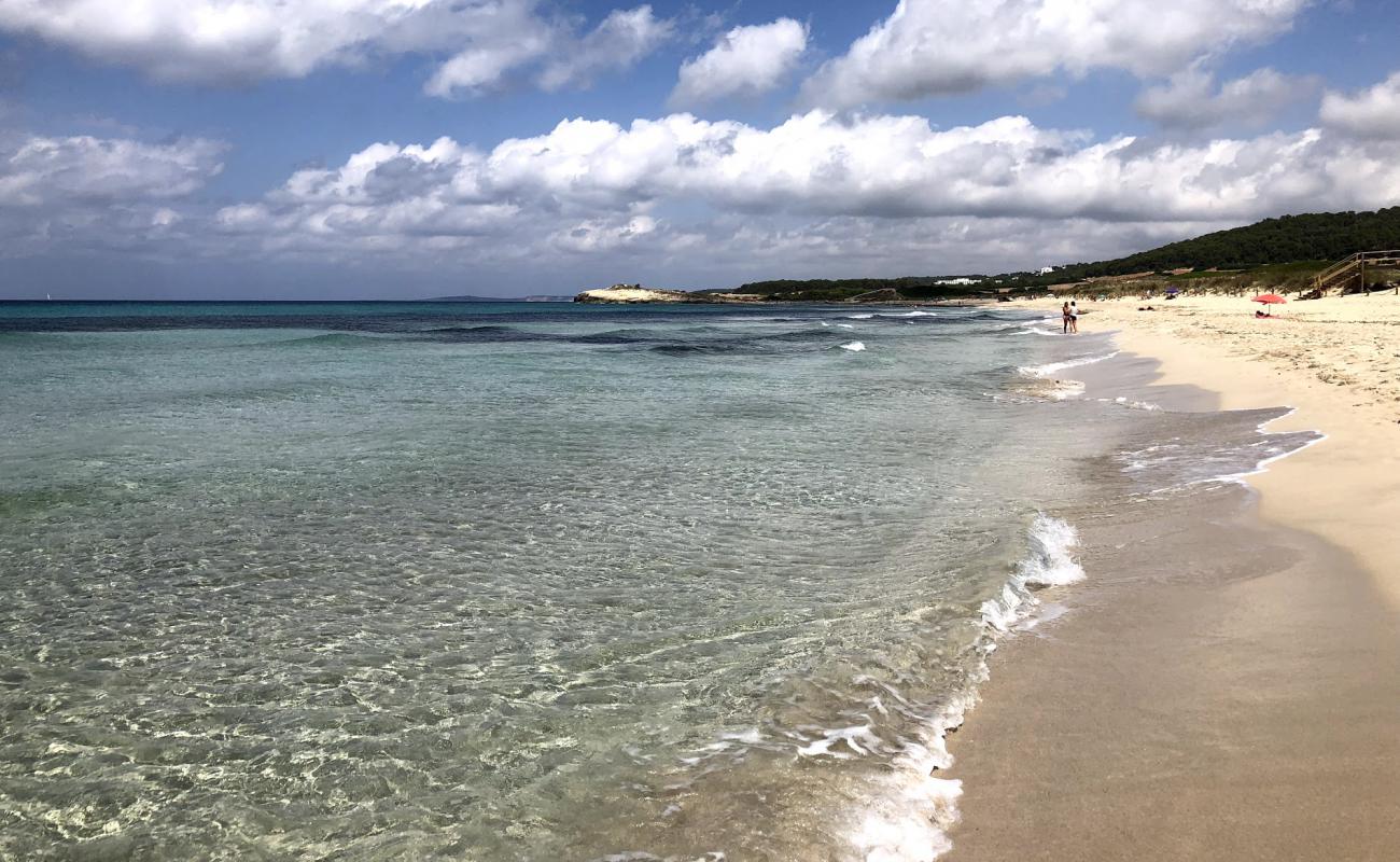 Son Bou Beach'in fotoğrafı parlak ince kum yüzey ile