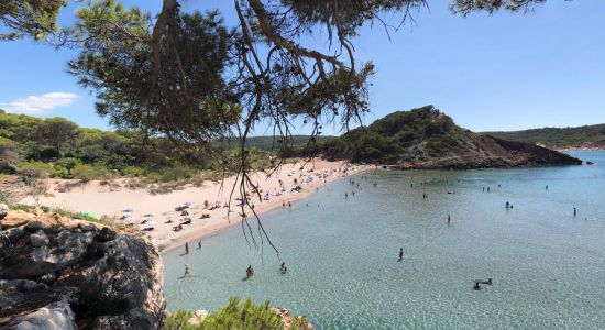 Cala Algaiarens II Plajı