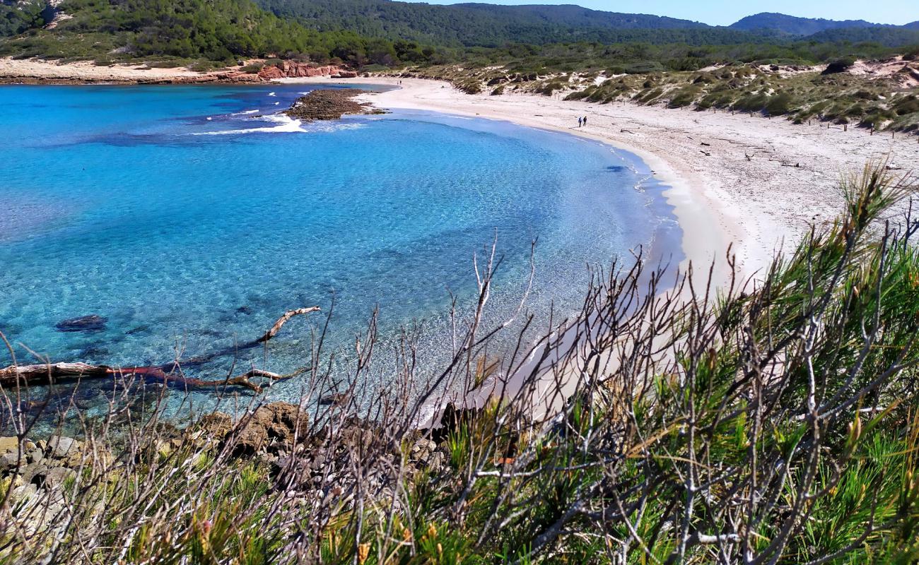 Cala Algaiarens Plajı'in fotoğrafı parlak ince kum yüzey ile