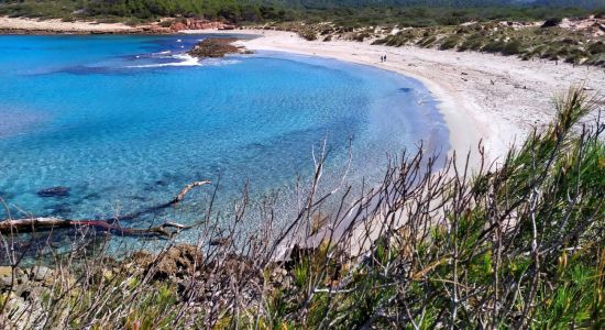 Cala Algaiarens Plajı