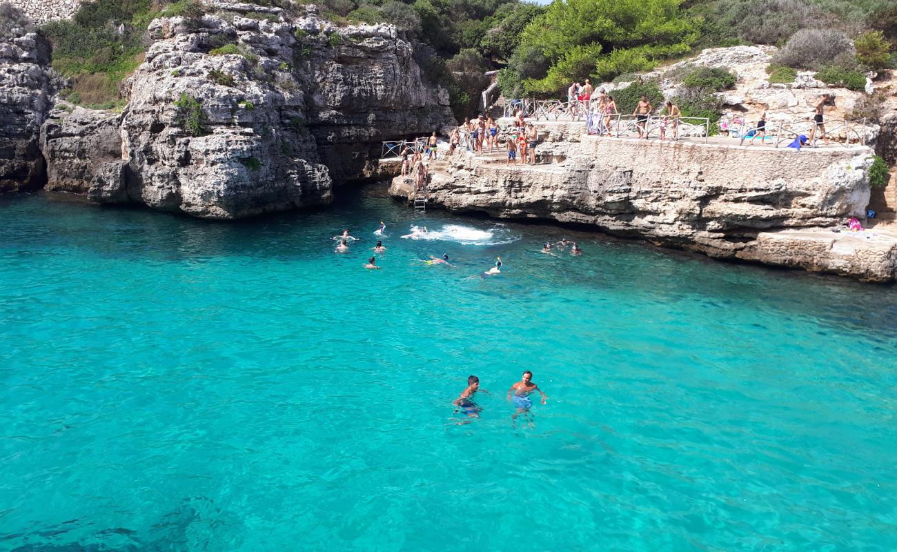 Cala 'N Brut'in fotoğrafı beton kaplı yüzey yüzey ile