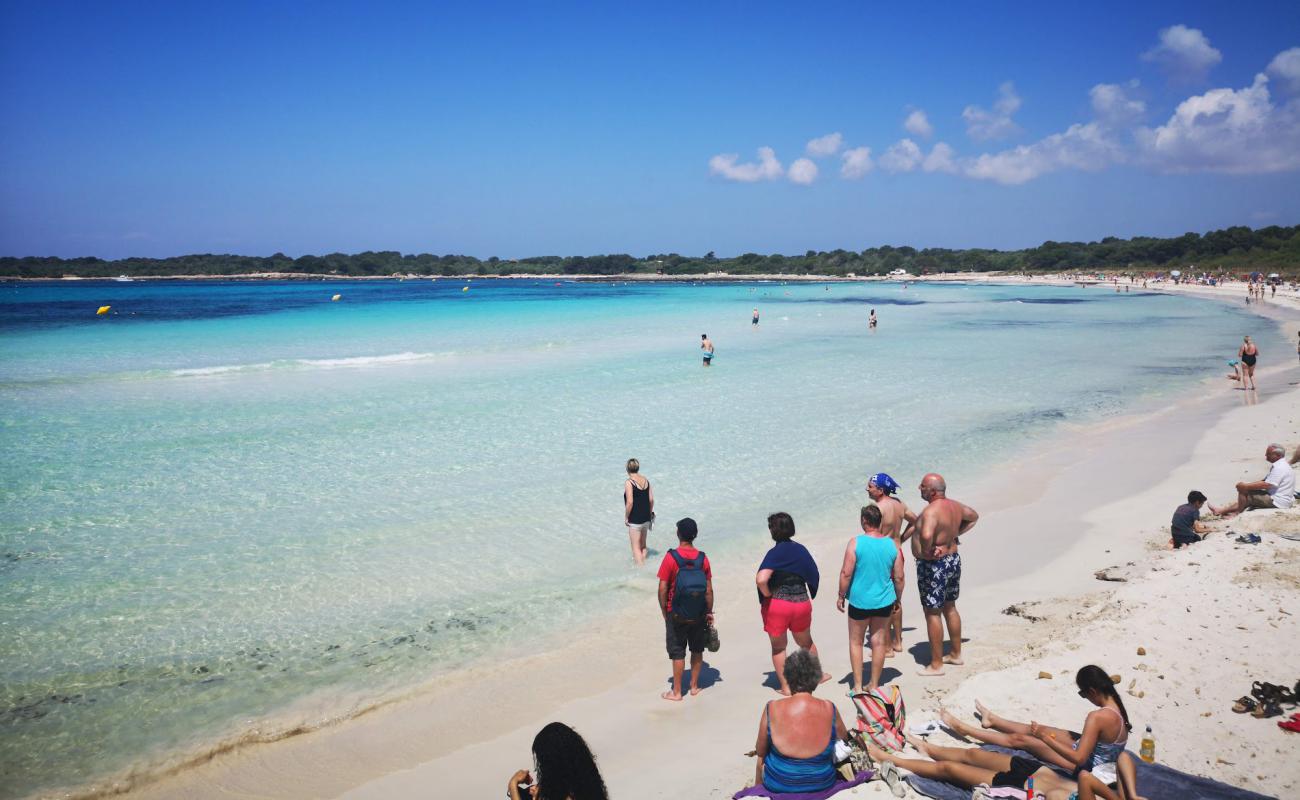 Bellavista Plajı'in fotoğrafı parlak ince kum yüzey ile