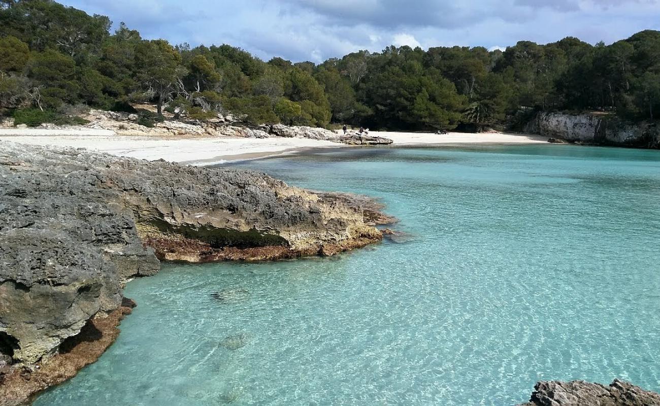 Cala en Turqueta Plajı'in fotoğrafı parlak ince kum yüzey ile