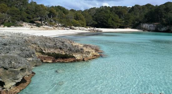 Cala en Turqueta Plajı