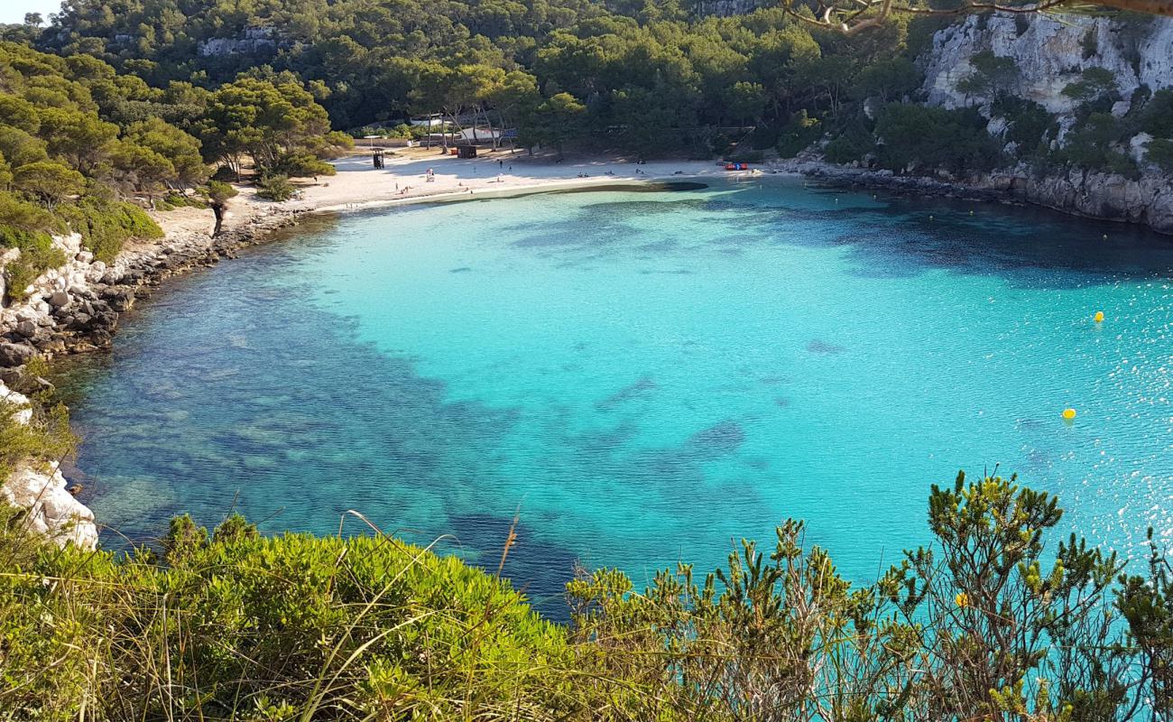 Cala Macarella Plajı'in fotoğrafı parlak ince kum yüzey ile