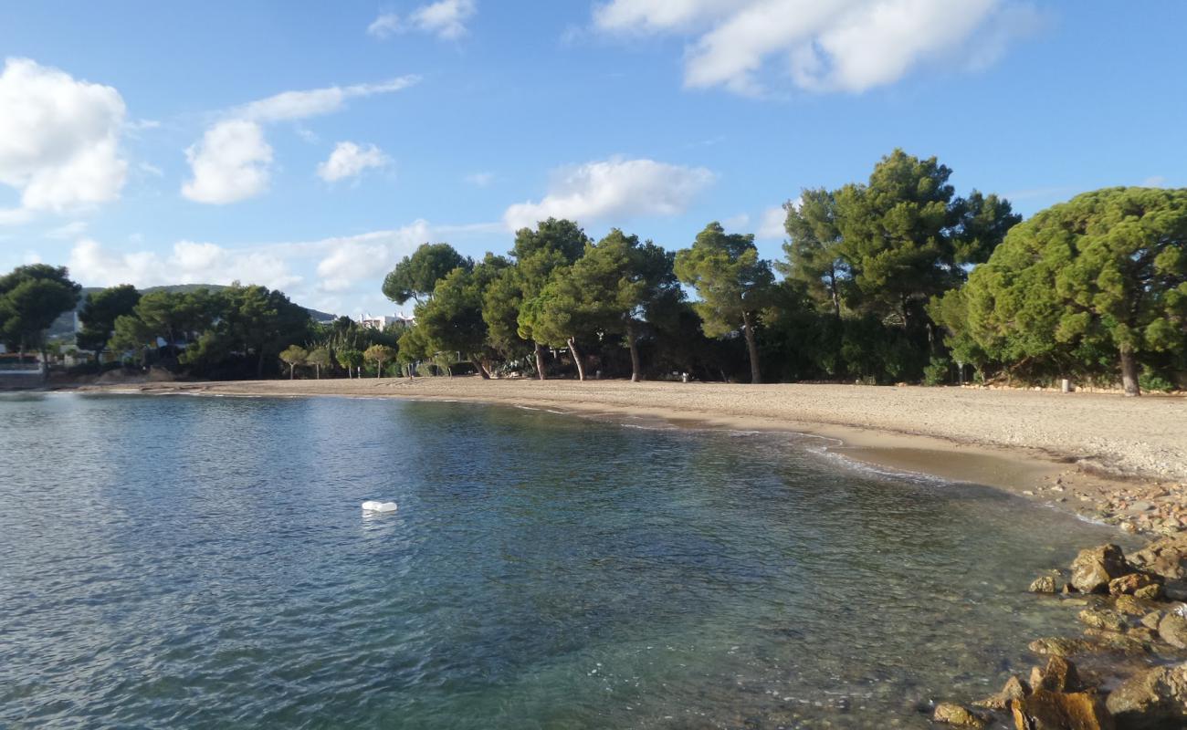 Playa Niu Blau'in fotoğrafı parlak ince kum yüzey ile