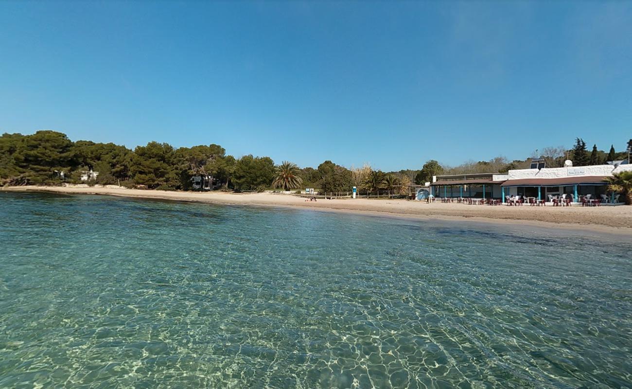 Playa Cala Pada'in fotoğrafı - rahatlamayı sevenler arasında popüler bir yer